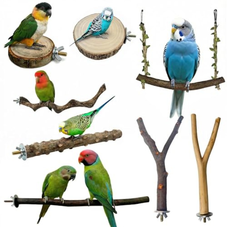 8 stuks natuurlijke houten vog - Health & Wellness Lions recensie en prijs
