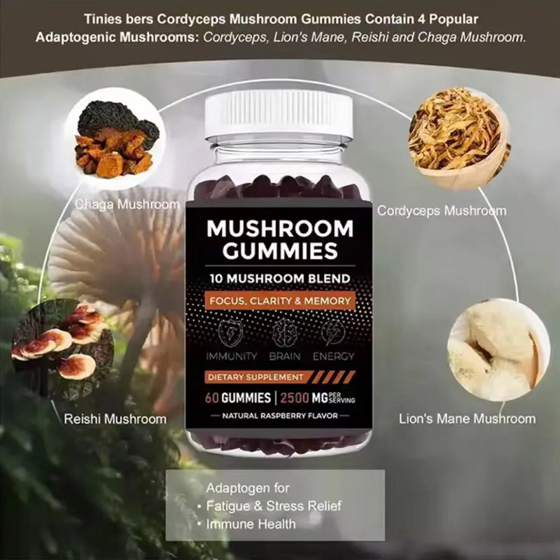 Paddenstoel Gummies ondersteun - Health Wellness Gummies recensie en prijs