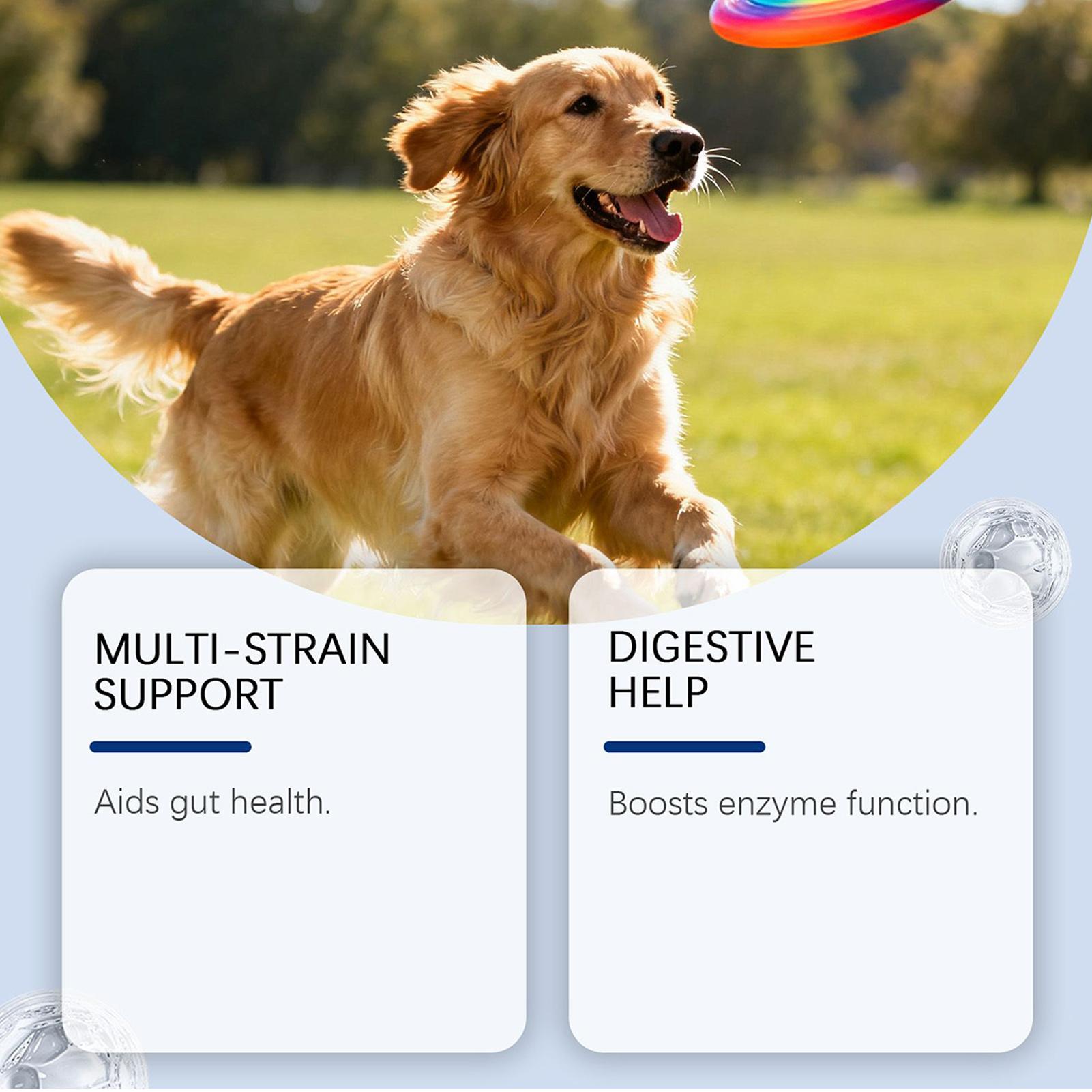 Hond Wellness Bites Gezond Nat - Health Wellness Food recensie en prijs